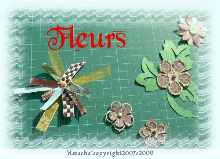 fleurs